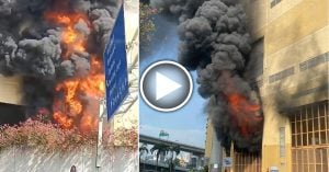 芭场惊见双尸!华裔年迈夫妇 同日死【内附音频】